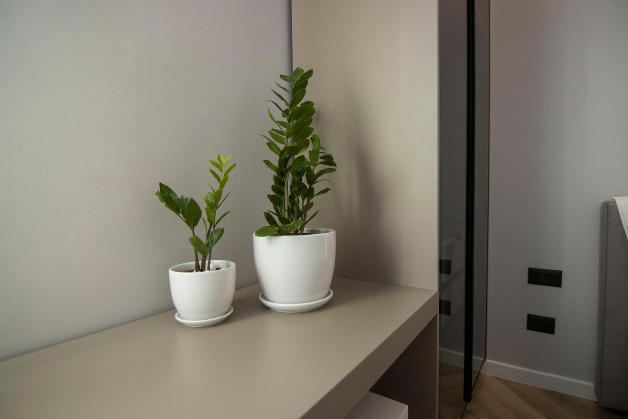 Mina Luxury Rooms Tiranë Luaran gambar